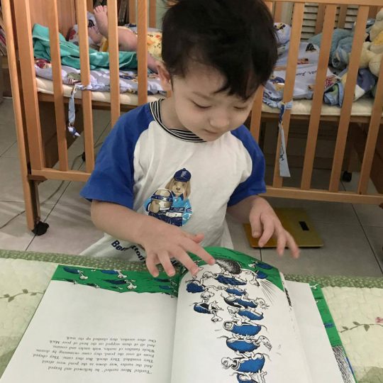 Little boy enjoying a book